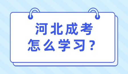 河北成考怎么学习？